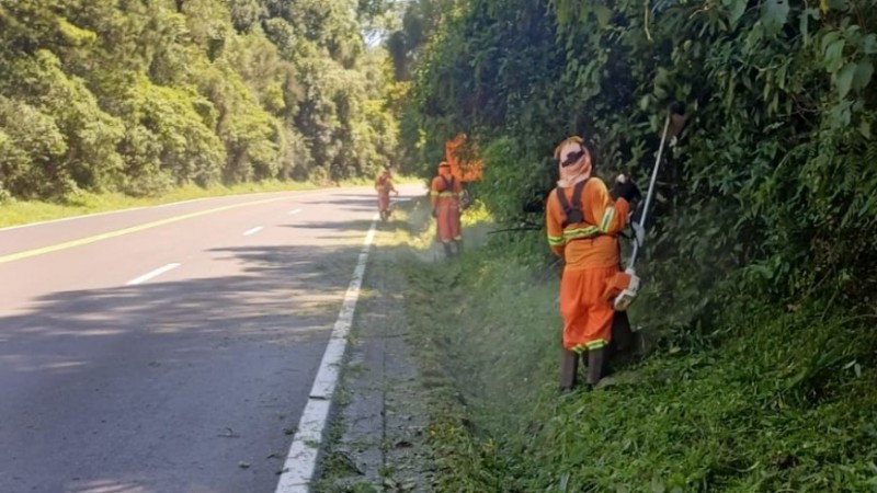 Na foto, trabalhadores atuam em rodovia.